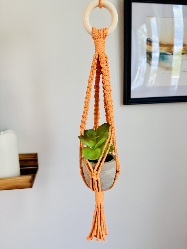 Macrame Mini Plant Hanger - Twisted Cord - Golden Yellow  - STAS202400102-2 - C16 by Susi Schuele