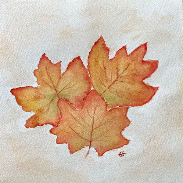 Leaves Don't Drop by Susi Schuele