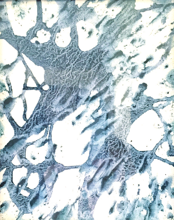 Neurons by Susi Schuele