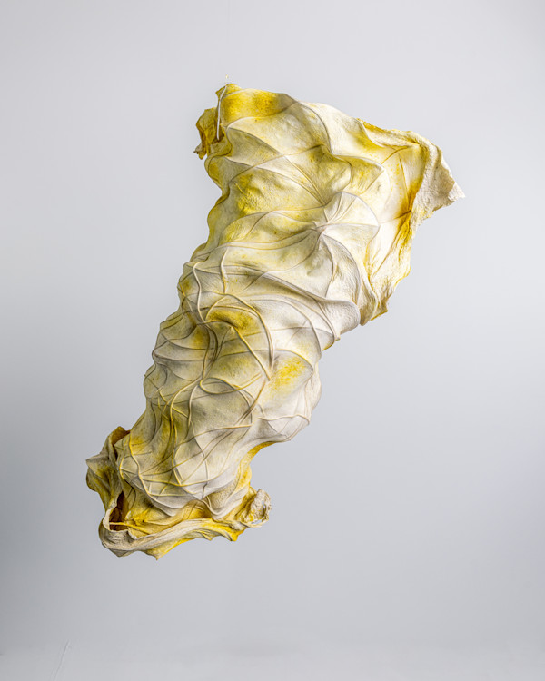 Wings II by Dave King