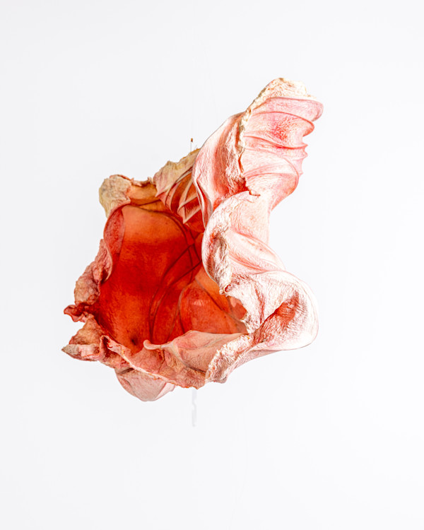 Undulating Rose II by Dave King