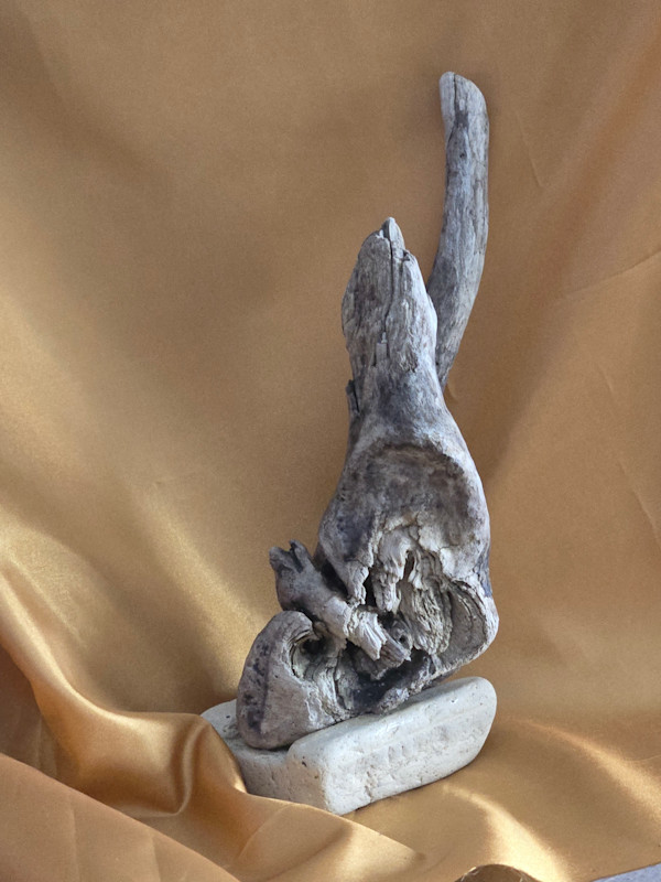 The Wise Wizard of Lake Erie by Tami Hritzay