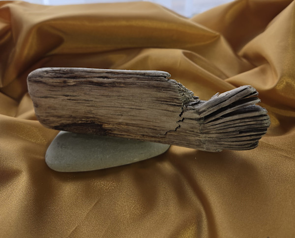 The Whale of Lake Erie by Tami Hritzay