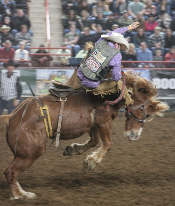 Collective Group of My Action Photographs by Tami Hritzay