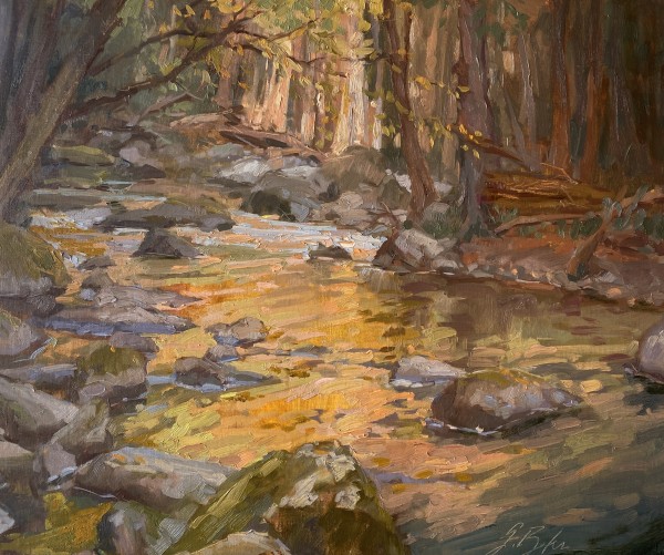 Cool Reflecting Warm on Middle Prong Little River by Suzie Baker