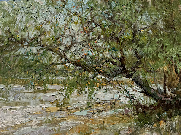 Rain Swollen Creek by Suzie Baker