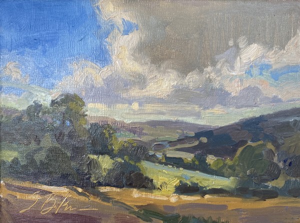 Cotswolds Afternoon by Suzie Baker