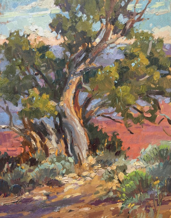 Juniperus I - Framed by Suzie Baker