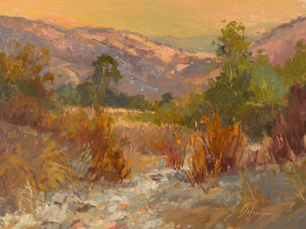 Santiago Creek by Suzie Baker