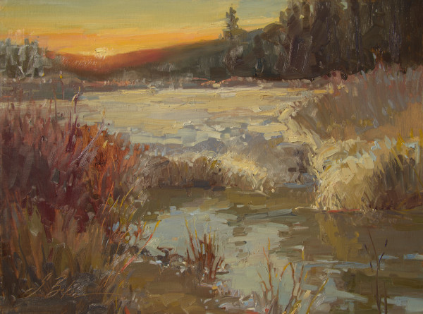 Virginia Meadows by Suzie Baker