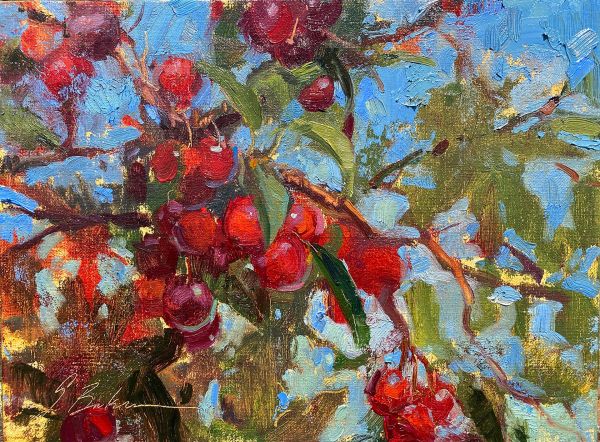 Lautenbach Cherries by Suzie Baker