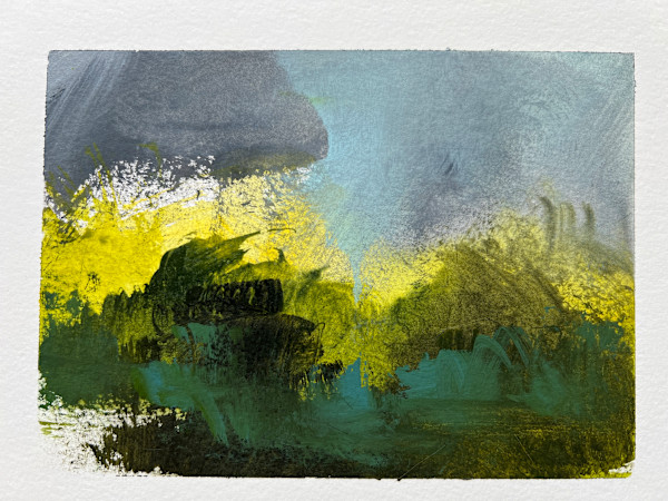 At the edge of the meadow by Pat