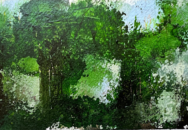 Afternoon Tangle - Ellison Park by Pat DeLuca