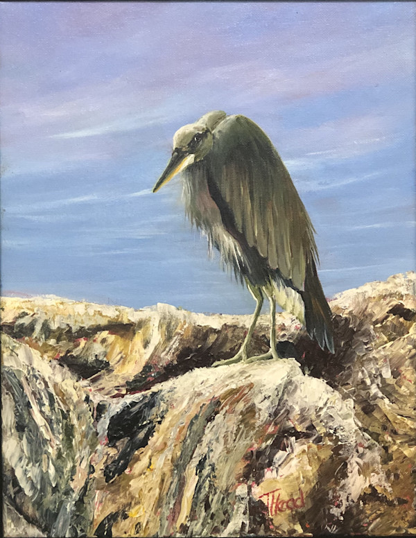 Watcher by Terry Head