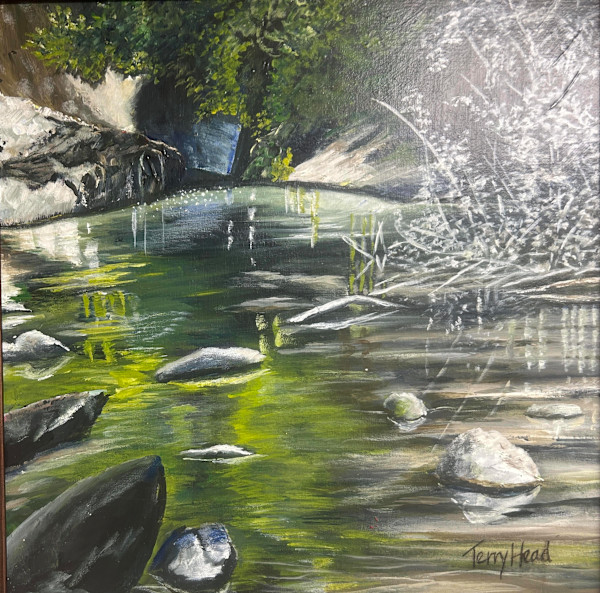 Back Water by Terry Head