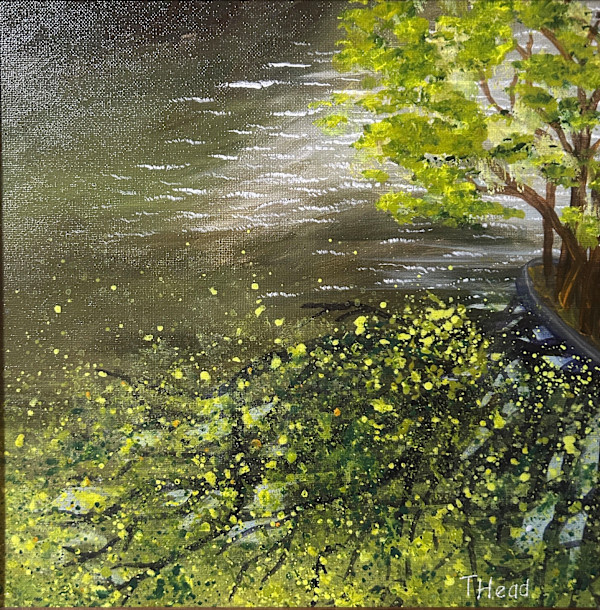 Duckweed by Terry Head