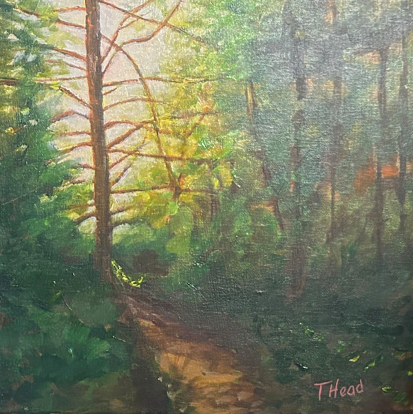 Last Witness by Terry Head