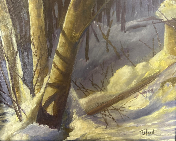 Snow Bridge by Terry Head