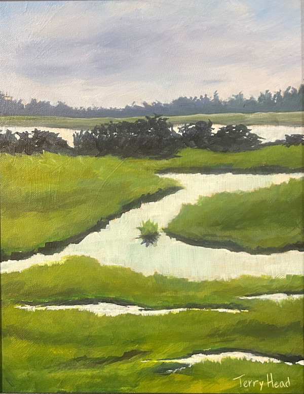 Watery by Terry Head