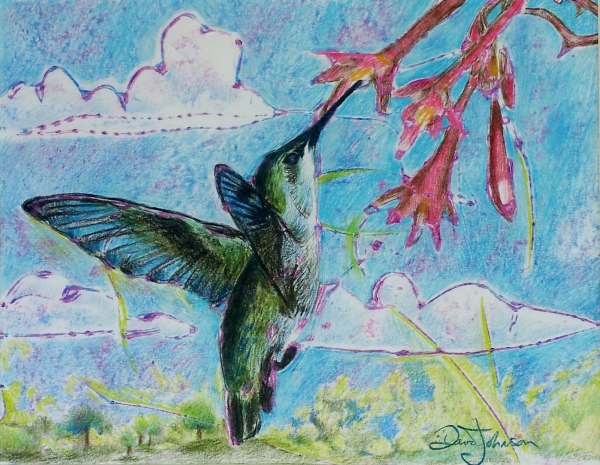 hummingbird by David Heatwole