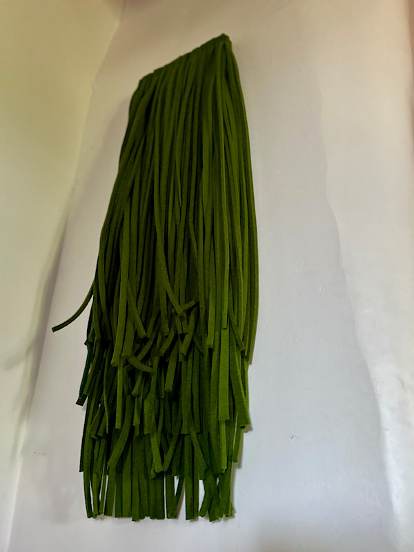 Grassy Fringe by Andrea Dupree