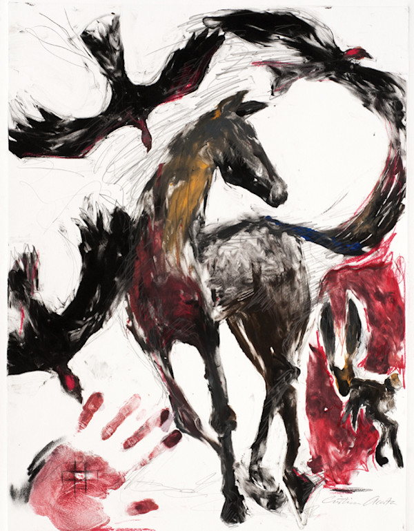 Lifecycle by Cristina Acosta