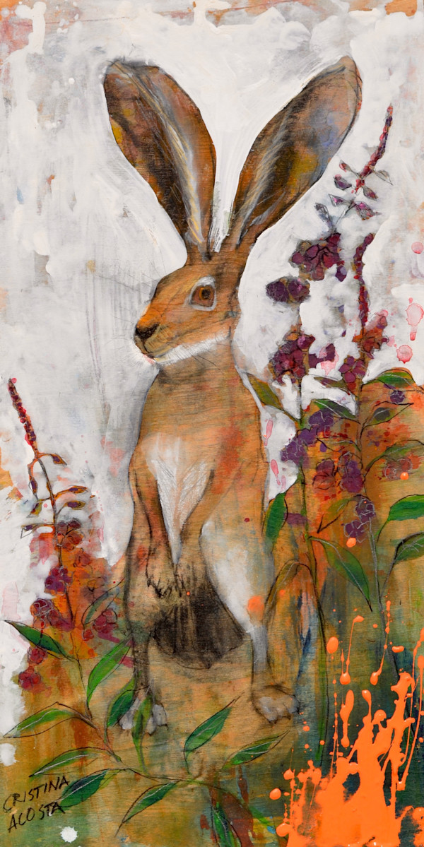 Watchful Jackrabbit in Wildflowers by Cristina Acosta