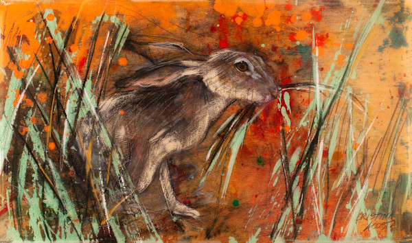 California Poppies, Hare in the Grass by Cristina Acosta