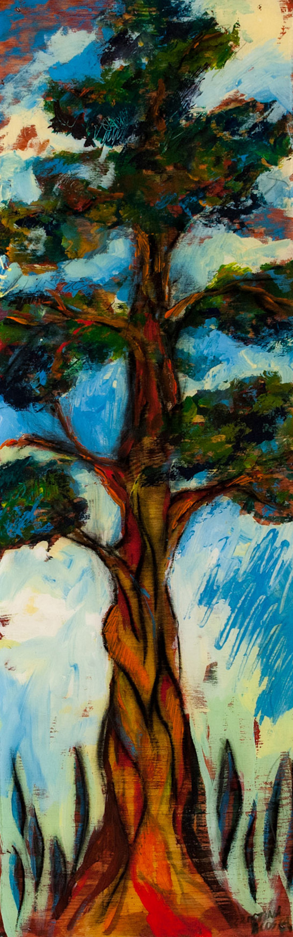 Cedar Tree by Cristina Acosta