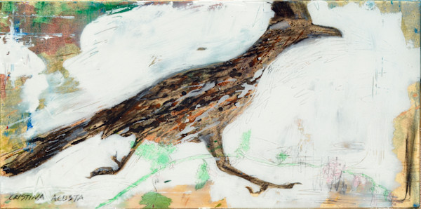 Roadrunner by Cristina Acosta