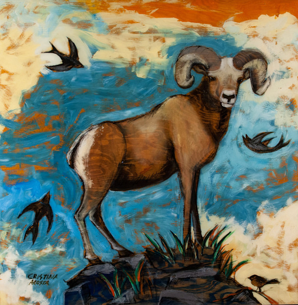 Desert Bighorn Sheep by Cristina Acosta