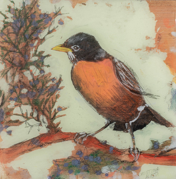 Red Robin and Juniper Berries by Cristina Acosta
