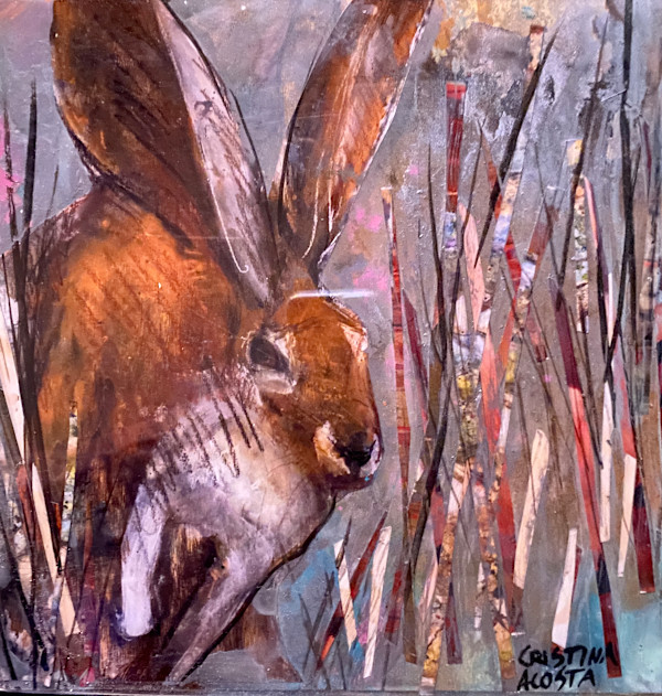 Run Rabbit by Cristina Acosta