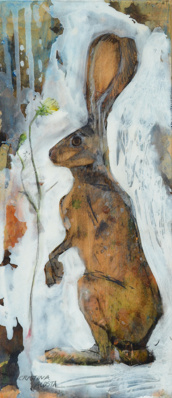 Jackrabbit with Desert Wildflower by Cristina Acosta