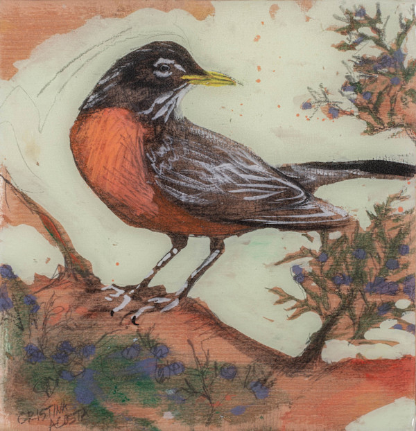 Robin in Juniper Berries by Cristina Acosta