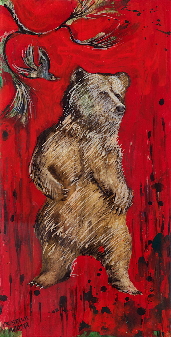 Scratchy Bear by Cristina Acosta