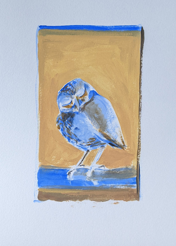 Burrowing Owl Gouache by Cleo Huggins
