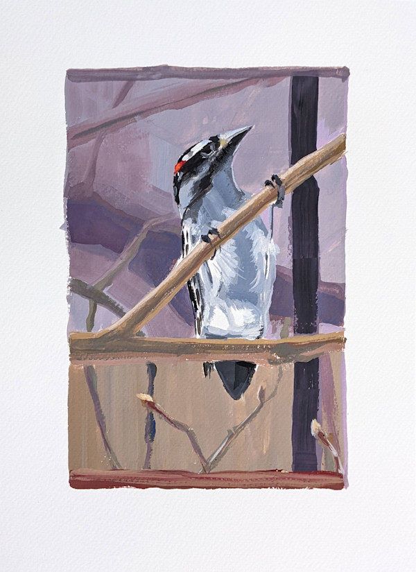 Downey Woodpecker Gouache by Cleo Huggins