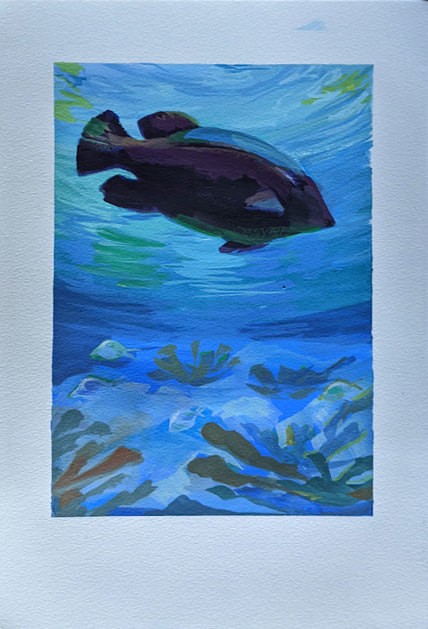 Triplefin Grouper Gouache by Cleo Huggins