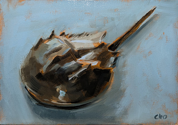 Baby Bellamy Horseshoe Crab by Cleo Huggins