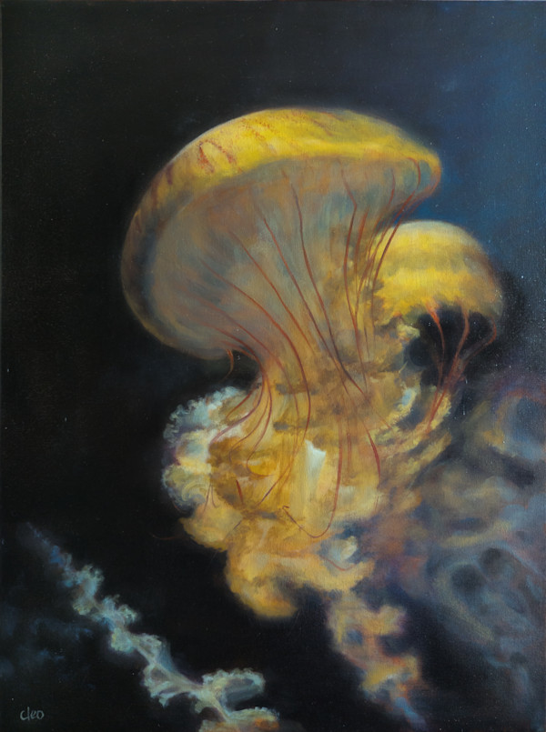 Nebulae by Cleo Huggins