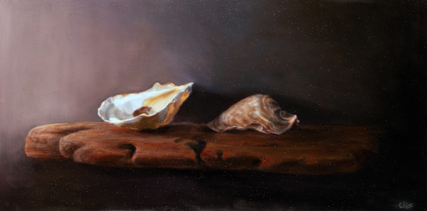 Oysters On Driftwood by Cleo Huggins