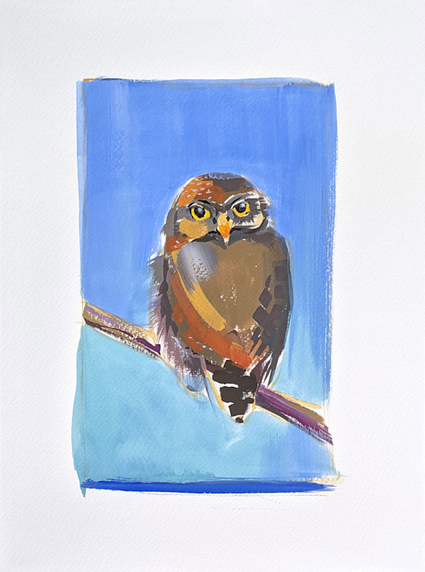 Pigmy Owl Gouache by Cleo Huggins