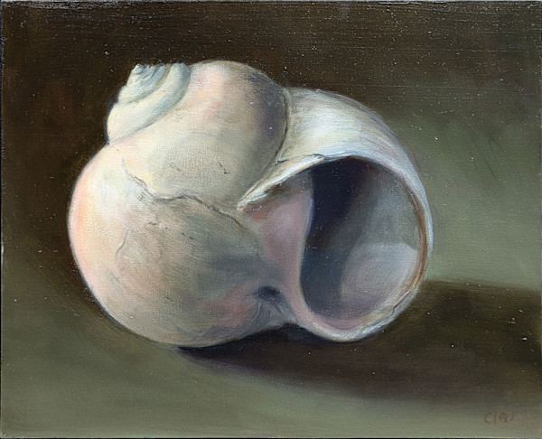 Rebecca's Mom's Shell by Cleo Huggins