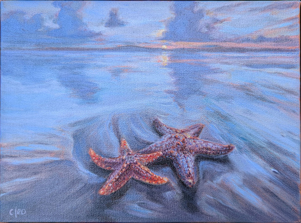 Starfish at Sundown by Cleo Huggins