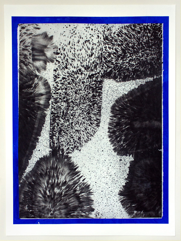 Sweep 1, 2/5 by Erin Morrison, Image 1.