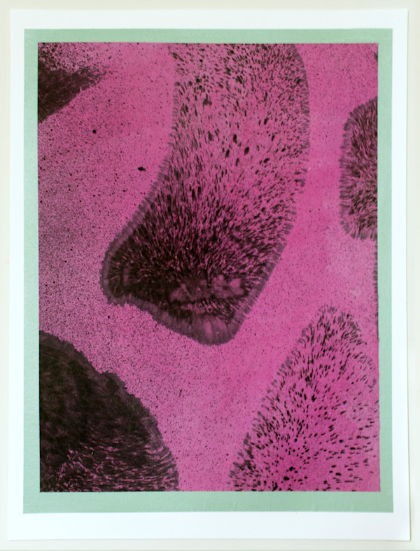 Sweep 2, 2/5 by Erin Morrison, Image 3.