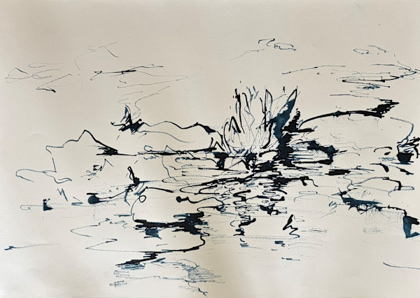 Nymphaea III by Astrid Steingrueber, Image 1.