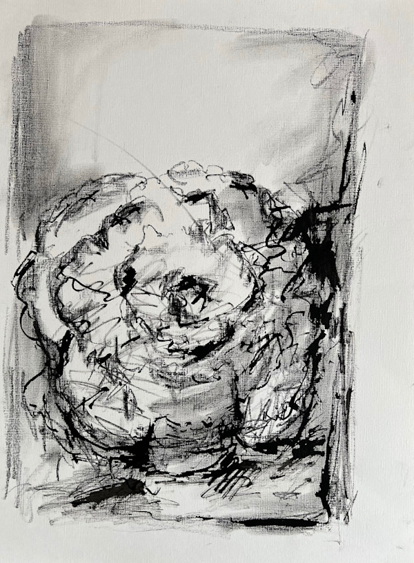 Cabbage #2 by Astrid Steingrueber