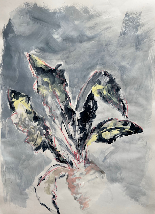Beet by Astrid Steingrueber